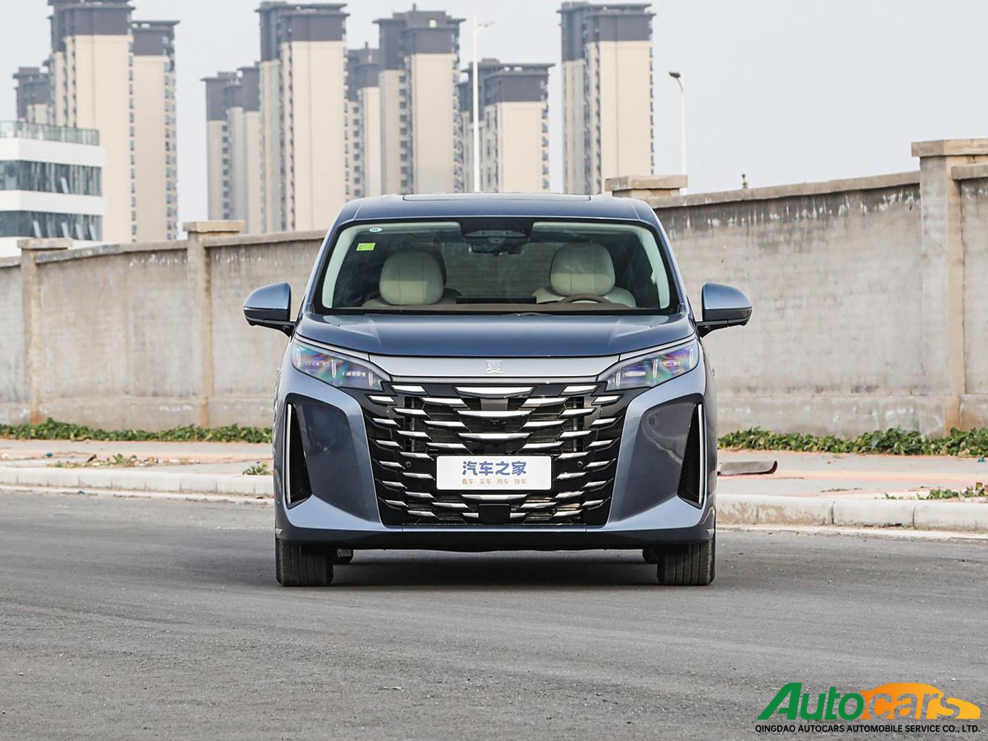 BYD Xia 2025 DM-i 1.5T 100km Superb Model