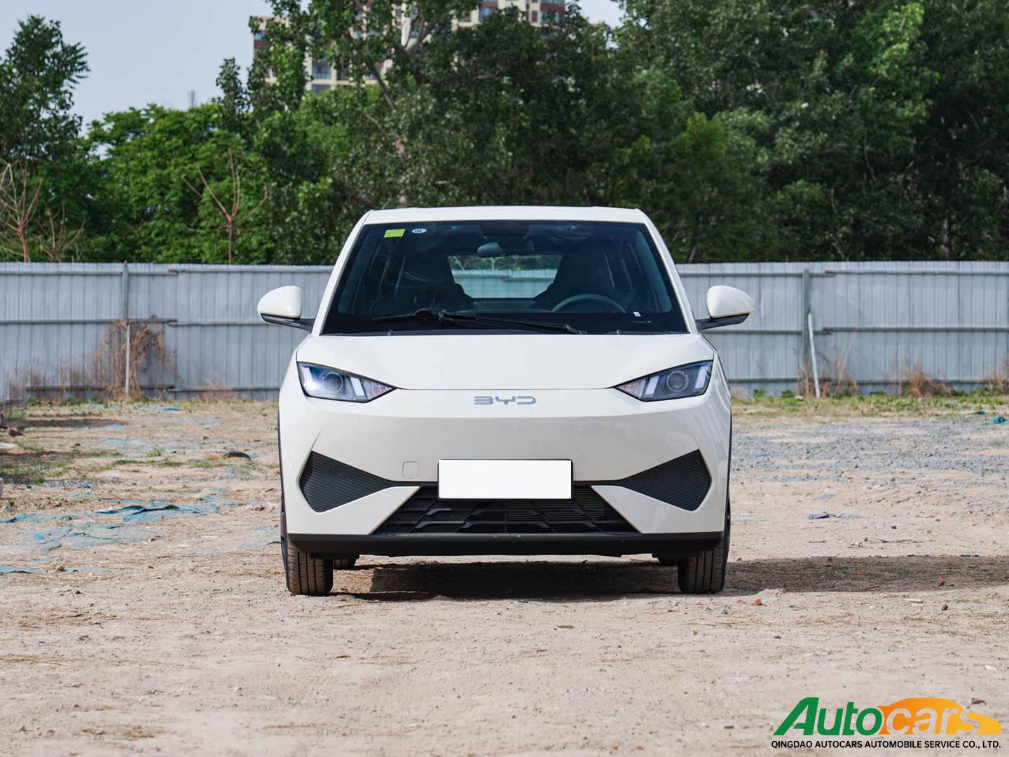 BYD Dolphin Surf 2025 Intelligent Driving Edition 305km Vitality Edition